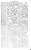 Chelsea News and General Advertiser Saturday 27 January 1866 Page 5