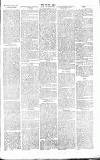 Chelsea News and General Advertiser Saturday 03 February 1866 Page 3