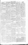 Chelsea News and General Advertiser Saturday 03 February 1866 Page 5
