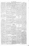 Chelsea News and General Advertiser Saturday 10 February 1866 Page 5