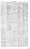 Chelsea News and General Advertiser Saturday 10 February 1866 Page 7