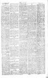 Chelsea News and General Advertiser Saturday 17 February 1866 Page 3