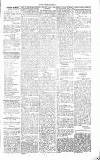 Chelsea News and General Advertiser Saturday 17 February 1866 Page 5