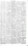 Chelsea News and General Advertiser Saturday 17 February 1866 Page 7