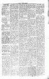 Chelsea News and General Advertiser Saturday 24 February 1866 Page 5