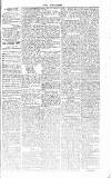 Chelsea News and General Advertiser Saturday 03 March 1866 Page 5