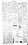 Chelsea News and General Advertiser Saturday 03 March 1866 Page 8