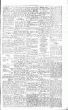 Chelsea News and General Advertiser Saturday 10 March 1866 Page 5