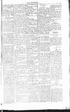 Chelsea News and General Advertiser Saturday 07 April 1866 Page 5