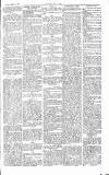Chelsea News and General Advertiser Saturday 28 April 1866 Page 3