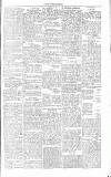 Chelsea News and General Advertiser Saturday 28 April 1866 Page 5