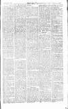 Chelsea News and General Advertiser Saturday 05 May 1866 Page 3