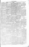 Chelsea News and General Advertiser Saturday 05 May 1866 Page 5