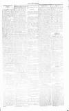Chelsea News and General Advertiser Saturday 12 May 1866 Page 5