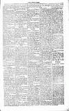 Chelsea News and General Advertiser Saturday 02 June 1866 Page 5