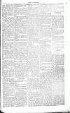Chelsea News and General Advertiser Saturday 23 June 1866 Page 5