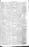 Chelsea News and General Advertiser Saturday 30 June 1866 Page 5