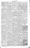 Chelsea News and General Advertiser Saturday 07 July 1866 Page 5