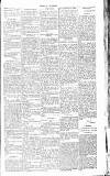 Chelsea News and General Advertiser Saturday 21 July 1866 Page 5