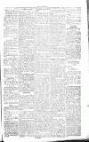 Chelsea News and General Advertiser Saturday 25 August 1866 Page 5