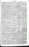 Chelsea News and General Advertiser Saturday 08 September 1866 Page 5