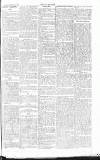 Chelsea News and General Advertiser Saturday 08 September 1866 Page 7