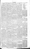 Chelsea News and General Advertiser Saturday 29 September 1866 Page 5