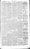 Chelsea News and General Advertiser Saturday 24 November 1866 Page 3