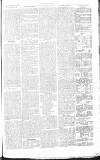 Chelsea News and General Advertiser Saturday 01 December 1866 Page 3