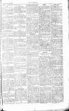 Chelsea News and General Advertiser Saturday 08 December 1866 Page 7