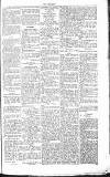 Chelsea News and General Advertiser Saturday 22 December 1866 Page 5