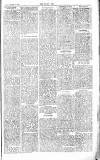 Chelsea News and General Advertiser Saturday 29 December 1866 Page 3