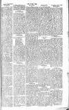 Chelsea News and General Advertiser Saturday 29 December 1866 Page 5