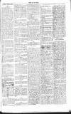 Chelsea News and General Advertiser Saturday 05 January 1867 Page 7