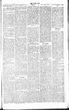 Chelsea News and General Advertiser Saturday 12 January 1867 Page 5
