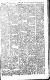 Chelsea News and General Advertiser Saturday 19 January 1867 Page 6
