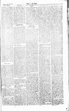 Chelsea News and General Advertiser Saturday 26 January 1867 Page 5