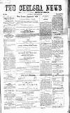 Chelsea News and General Advertiser Saturday 02 February 1867 Page 1