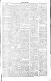 Chelsea News and General Advertiser Saturday 02 February 1867 Page 3