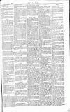 Chelsea News and General Advertiser Saturday 02 February 1867 Page 5