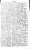 Chelsea News and General Advertiser Saturday 02 February 1867 Page 7