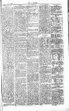 Chelsea News and General Advertiser Saturday 09 February 1867 Page 7