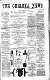Chelsea News and General Advertiser Saturday 16 February 1867 Page 1