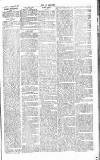 Chelsea News and General Advertiser Saturday 16 February 1867 Page 6