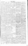 Chelsea News and General Advertiser Saturday 02 March 1867 Page 3