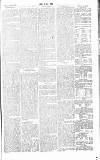 Chelsea News and General Advertiser Saturday 02 March 1867 Page 7
