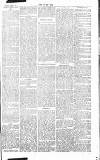 Chelsea News and General Advertiser Saturday 09 March 1867 Page 4