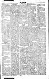 Chelsea News and General Advertiser Saturday 09 March 1867 Page 6