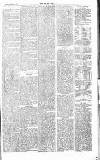 Chelsea News and General Advertiser Saturday 16 March 1867 Page 7