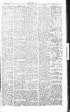 Chelsea News and General Advertiser Saturday 23 March 1867 Page 8